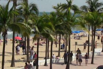 Visit the warm beaches of Fort Lauderdale